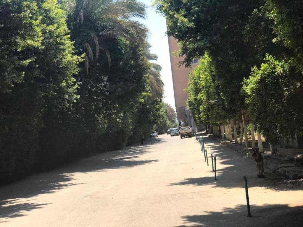 ابراج الخليج *